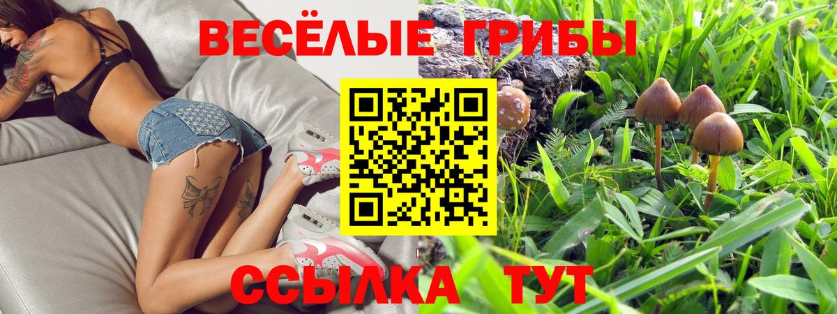 Галлюциногенные грибы MAGIC MUSHROOMS Муром